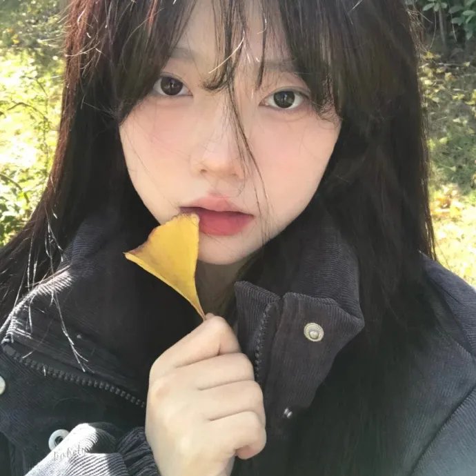 群芳谱海报