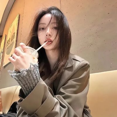 我是海鸥海报
